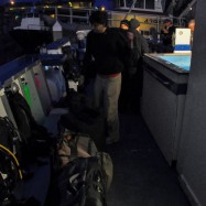 Serendipity – Teil 2 | Tag 85: Der mit den Seelöwen tanzt | Nr. 3 2013 02 02 06.31.10