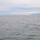 Serendipity – Teil 2 | Tag 85: Der mit den Seelöwen tanzt | Nr. 19 2013 02 02 08.04.45