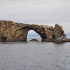 Serendipity – Teil 2 | Tag 85: Der mit den Seelöwen tanzt | Nr. 21 2013 02 02 10.24.17