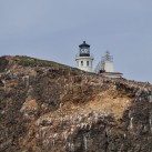 Serendipity – Teil 2 | Tag 85: Der mit den Seelöwen tanzt | Nr. 22 2013 02 02 10.24.22