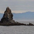 Serendipity – Teil 2 | Tag 85: Der mit den Seelöwen tanzt | Nr. 24 2013 02 02 10.25.04