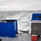 Serendipity – Teil 2 | Tag 85: Der mit den Seelöwen tanzt | Nr. 134 2013 02 02 14.20.28