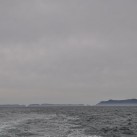 Serendipity – Teil 2 | Tag 85: Der mit den Seelöwen tanzt | Nr. 135 2013 02 02 14.20.41