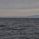 Serendipity – Teil 2 | Tag 85: Der mit den Seelöwen tanzt | Nr. 137 2013 02 02 14.21.16