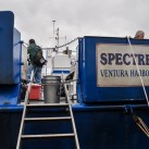 Serendipity – Teil 2 | Tag 85: Der mit den Seelöwen tanzt | Nr. 142 Die Spectre