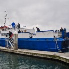 Serendipity – Teil 2 | Tag 85: Der mit den Seelöwen tanzt | Nr. 143 Die Spectre