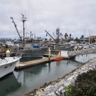 Serendipity – Teil 2 | Tag 85: Der mit den Seelöwen tanzt | Nr. 154 2013 02 02 15.28.29