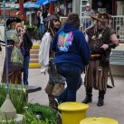 Serendipity – Teil 2 | Tag 85: Der mit den Seelöwen tanzt | Nr. 157 2013 02 02 15.30.15