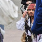 Serendipity – Teil 2 | Tag 85: Der mit den Seelöwen tanzt | Nr. 159 2013 02 02 15.30.58