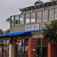 Serendipity – Teil 2 | Tag 85: Der mit den Seelöwen tanzt | Nr. 163 2013 02 02 15.31.27