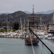 Serendipity – Teil 2 | Tag 85: Der mit den Seelöwen tanzt | Nr. 164 2013 02 02 16.53.52