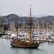 Serendipity – Teil 2 | Tag 85: Der mit den Seelöwen tanzt | Nr. 165 2013 02 02 16.54.15