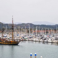 Serendipity – Teil 2 | Tag 85: Der mit den Seelöwen tanzt | Nr. 166 2013 02 02 16.54.17