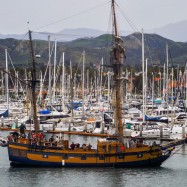 Serendipity – Teil 2 | Tag 85: Der mit den Seelöwen tanzt | Nr. 167 2013 02 02 16.54.32