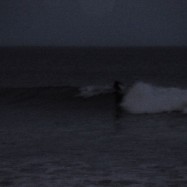 Serendipity – Teil 2 | Tag 85: Der mit den Seelöwen tanzt | Nr. 171 2013 02 02 17.54.05