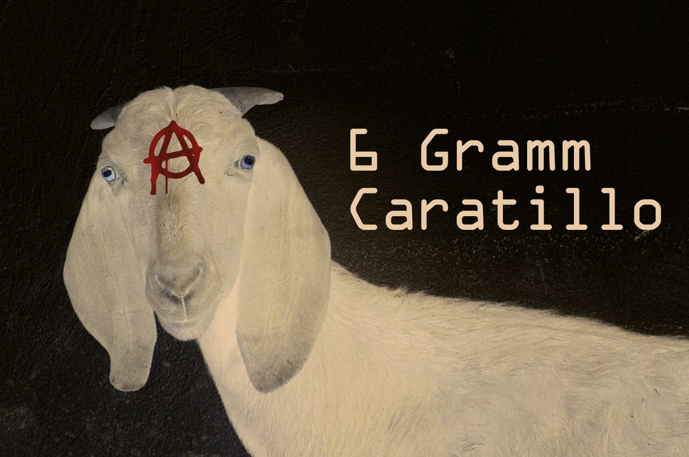 6 Gramm Caratillo: Pressematerial