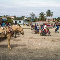 2007 02 10 12.38.45 edited