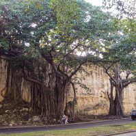 Anarchistenherz | Tag 8: La Habanas nervige Seite | Nr. 46 Avenida Los Presidentes