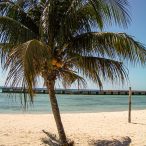 Anarchistenherz | Tag 13: Entspannte Atmosphäre und ein heldenhafter Präsident | Nr. 4 2007 02 19 12.44.05 edited