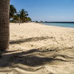 Anarchistenherz | Tag 13: Entspannte Atmosphäre und ein heldenhafter Präsident | Nr. 7 2007 02 19 12.49.11 edited