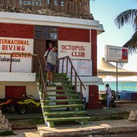 Anarchistenherz | Tag 14: Die Schweinebucht unter Wasser und der Kampf mit Goofy | Nr. 3 2007 02 20 09.16.27 edited