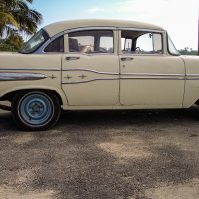 Anarchistenherz | Tag 14: Die Schweinebucht unter Wasser und der Kampf mit Goofy | Nr. 4 2007 02 20 09.43.36 edited