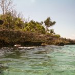 Anarchistenherz | Tag 14: Die Schweinebucht unter Wasser und der Kampf mit Goofy | Nr. 33 2007 02 20 11.34.47 edited