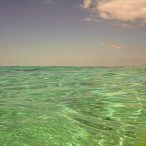 Anarchistenherz | Tag 14: Die Schweinebucht unter Wasser und der Kampf mit Goofy | Nr. 34 2007 02 20 11.34.52 edited