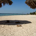 Anarchistenherz | Tag 15: Friede, Freude und ein Hauch von Anarchie | Nr. 2 2007 02 21 10.17.41 edited