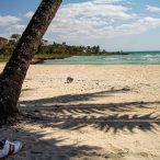 Anarchistenherz | Tag 15: Friede, Freude und ein Hauch von Anarchie | Nr. 7 2007 02 21 13.06.57 edited