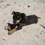 Anarchistenherz | Tag 15: Friede, Freude und ein Hauch von Anarchie | Nr. 6 2007 02 21 13.08.54 edited