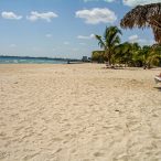 Anarchistenherz | Tag 15: Friede, Freude und ein Hauch von Anarchie | Nr. 8 2007 02 21 13.09.41 edited