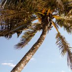 Anarchistenherz | Tag 15: Friede, Freude und ein Hauch von Anarchie | Nr. 15 2007 02 21 14.18.46 edited